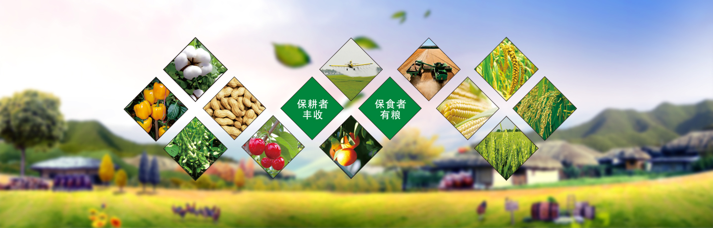 天津高效低毒除草劑、天津除草劑廠(chǎng)家